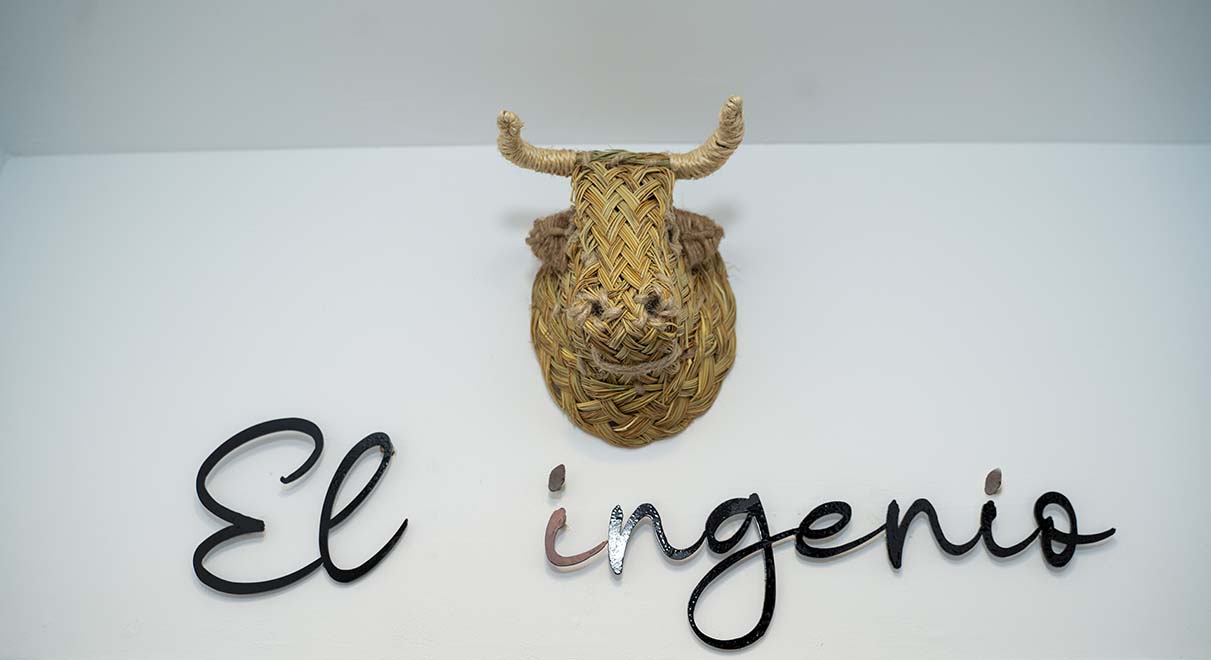 El Ingenio-La Morada de Rosafina-Frigiliana-15